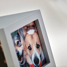 Silver Photo Cube Large Pet Cremation Urn - Funeral.com, Inc.