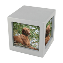 Silver Photo Cube Large Pet Cremation Urn - Funeral.com, Inc.