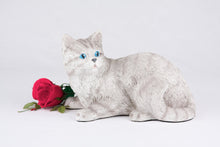 Silver & White Coat Shorthair Cat Figurine Pet Urn - Funeral.com, Inc.