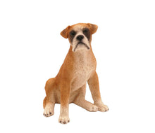 Simply Series Boxer with Ears Down, Sitting Figurine Pet Cremation Urn - Funeral.com, Inc.