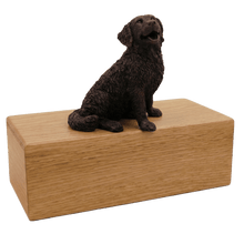 Simply Series Bronze Bernese Mountain, Sitting Figurine Pet Cremation Urn - Funeral.com, Inc.