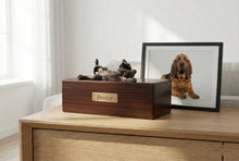 Simply Series Bronze Bloodhound, Playful Lying Down Figurine Pet Cremation Urn - Funeral.com, Inc.
