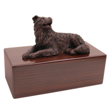 Simply Series Bronze Border Collie, Lying Down Figurine Pet Cremation Urn - Funeral.com, Inc.