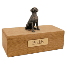 Simply Series Bronze Dalmatian, Sitting Figurine Pet Cremation Urn - Funeral.com, Inc.