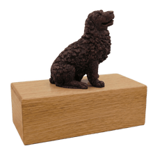 Simply Series Bronze Newfoundland, Sitting Figurine Pet Cremation Urn - Funeral.com, Inc.