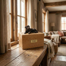 Simply Series Jumbo Bronze Saint Bernard, Lying Down Figurine Pet Cremation Urn - Funeral.com, Inc.