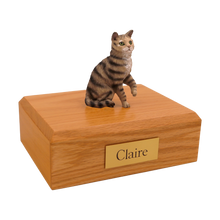 Tabby and Brown Shorthair Cat, Sitting Figurine Pet Cremation Urn - Funeral.com, Inc.