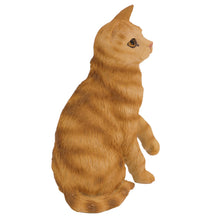 Tabby and Red Shorthair Cat, Sitting Figurine Pet Cremation Urn - Funeral.com, Inc.