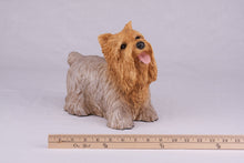 Tan & Cream Yorkshire Terrier Resin Figurine Large Pet Urn - Funeral.com, Inc.