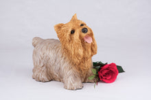 Tan & Cream Yorkshire Terrier Resin Figurine Large Pet Urn - Funeral.com, Inc.