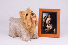 Tan & Cream Yorkshire Terrier Resin Figurine Large Pet Urn - Funeral.com, Inc.