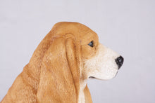 Tan & White Basset Hound Figurine Extra Large Pet Urn - Funeral.com, Inc.