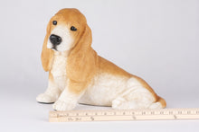 Tan & White Basset Hound Figurine Extra Large Pet Urn - Funeral.com, Inc.