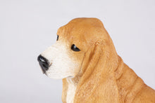 Tan & White Basset Hound Figurine Extra Large Pet Urn - Funeral.com, Inc.