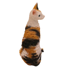 Tortoiseshell and White Cornish Rex, Sitting Figurine Pet Cremation Urn - Funeral.com, Inc.