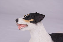Tri - Color White, Black & Tan Jack Russell Terrier Figurine Large Pet Urn - Funeral.com, Inc.