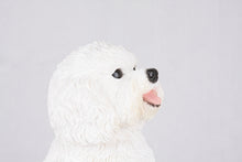 White Coat Bichon Frise Figurine Extra Large Pet Urn - Funeral.com, Inc.