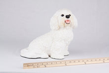 White Coat Bichon Frise Figurine Extra Large Pet Urn - Funeral.com, Inc.