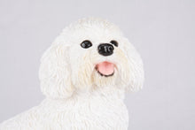 White Coat Bichon Frise Figurine Extra Large Pet Urn - Funeral.com, Inc.