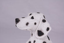 White Coat with Black Spots Dalmatian Figurine Extra Large Pet Urn - Funeral.com, Inc.