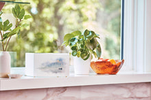 White Gloss MDF Artistic Calming Water Adult Cremation Urn - Funeral.com, Inc.