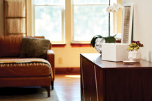 White Gloss MDF Box Adult Cremation Urn - Funeral.com, Inc.