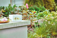 White Gloss MDF Desert Scene Adult Cremation Urn - Funeral.com, Inc.