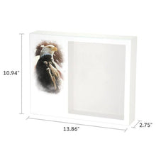White MDF Eagle Shadowbox Medium Cremation Urn - Funeral.com, Inc.