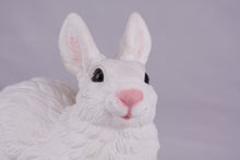 White Rabbit Resin Figurine Pet Urn - Funeral.com, Inc.