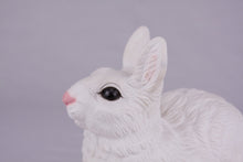 White Rabbit Resin Figurine Pet Urn - Funeral.com, Inc.