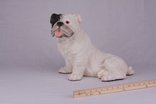 White with Black Mask English Bulldog Figurine Extra Large Pet Urn - Funeral.com, Inc.