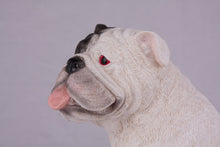 White with Black Mask English Bulldog Figurine Extra Large Pet Urn - Funeral.com, Inc.