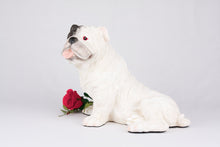 White with Black Mask English Bulldog Figurine Extra Large Pet Urn - Funeral.com, Inc.