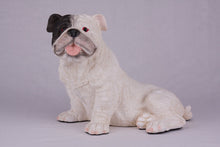 White with Black Mask English Bulldog Figurine Extra Large Pet Urn - Funeral.com, Inc.