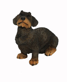 Wirehaired Dachshund, Sitting Figurine Pet Cremation Urn - Funeral.com, Inc.