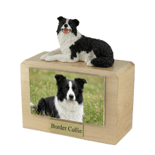 Wooden Pet Urn with Lying Down Border Collie Figurine & 4x6 Inches Photo Holder - Funeral.com, Inc.