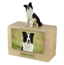 Wooden Pet Urn with Sitting Border Collie Figurine & 4x6 Inches Photo Holder - Funeral.com, Inc.