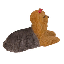 Yorkshire Terrier, Lying Down Figurine Pet Cremation Urn - Funeral.com, Inc.